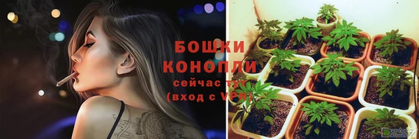 spice Аркадак