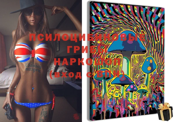 spice Аркадак