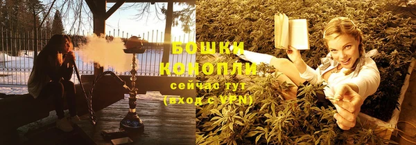spice Аркадак