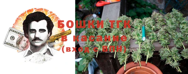 spice Аркадак